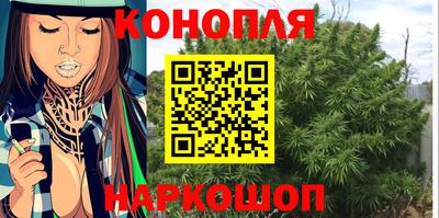 ALPHA PVP Ярославль
