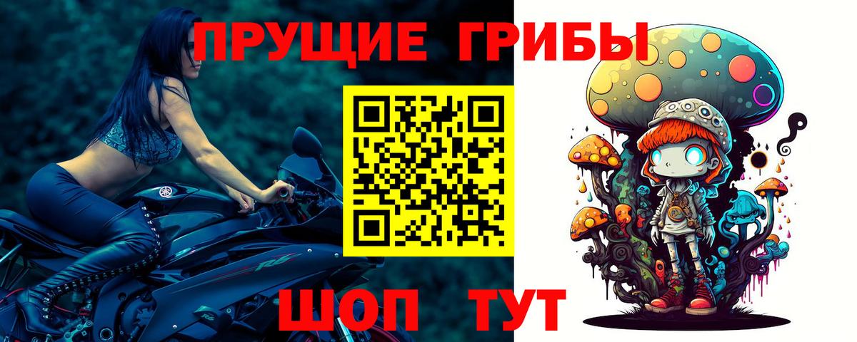Псилоцибиновые грибы Cubensis Орск